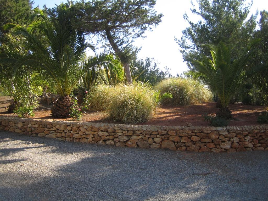 Hacienda Encanto Del Rio Playa DPlaya Des Figueral Eksteriør billede